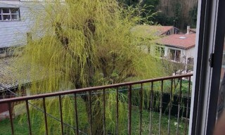 Photo N° 7