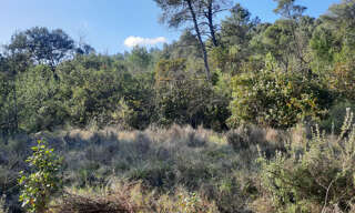 Terrain  1435 m² à vendre à Carnas (30260)