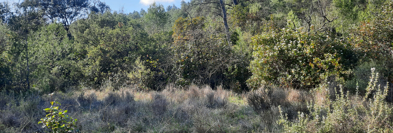 Terrain  1435 m² à vendre à Carnas (30260)