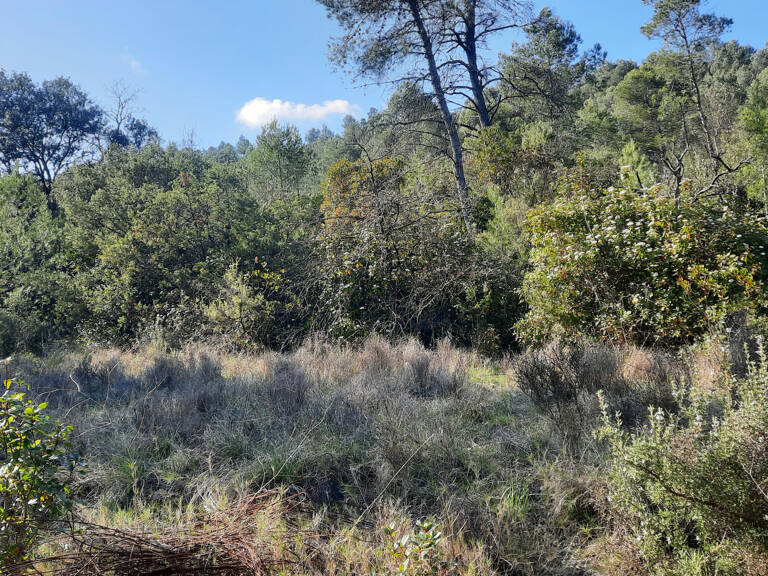 À VENDRE - TERRAIN DE LOISIR - CARNAS — photo 1