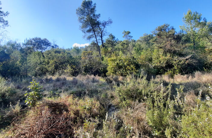 À VENDRE - TERRAIN DE LOISIR - CARNAS — photo 2