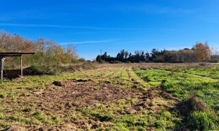 Terrain  1000 m² à vendre à Pineuilh (33220)