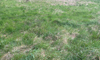 Terrain  5000 m² à vendre à Pechs-de-l'Espérance (24370)