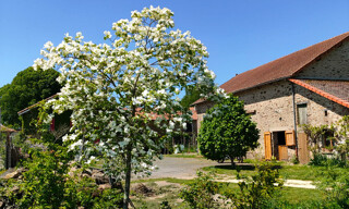 Photo N° 2