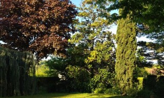 Photo N° 6