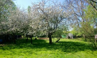 Photo N° 6