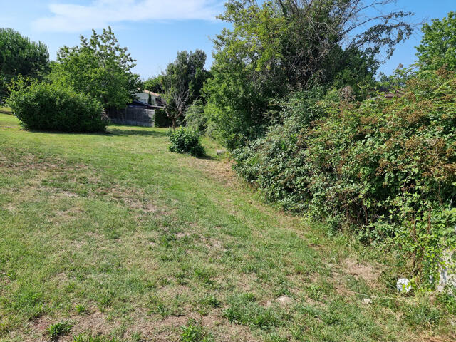 Terrain proposé à Saint-Émilion