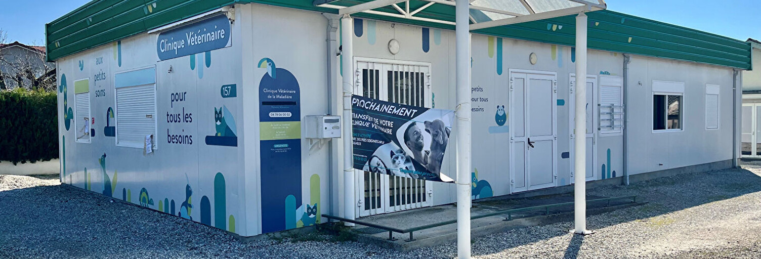 Commerce 2 Pièces 171 m² à vendre à La Boisse (01120)