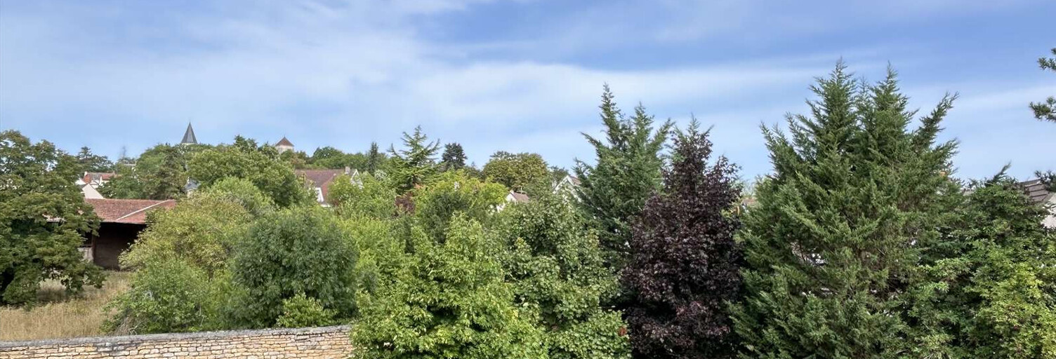 Appartement 6 Pièces 117 m² à vendre à Fontaine-lès-Dijon (21121)