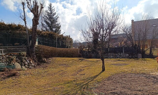 Photo N° 6