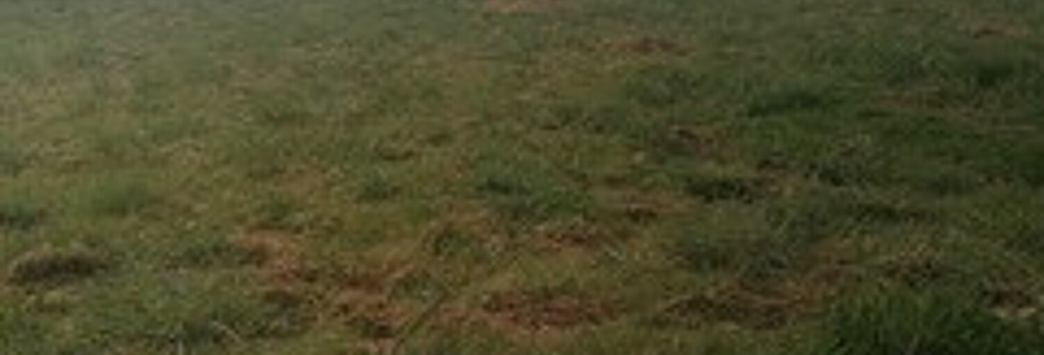 Terrain  750 m² à vendre à Villemur-sur-Tarn (31340)