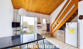 Photo N° 4