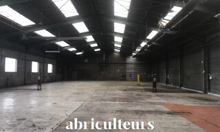 Photo N° 4
