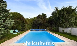 Photo N° 4