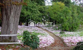 Photo N° 4
