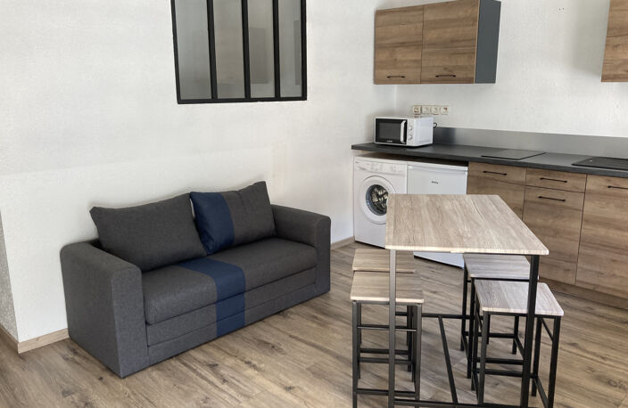 LOCATION APPARTEMENT MEUBLE AU CENTRE VILLE DE MOIRANS-EN-MO — photo 2