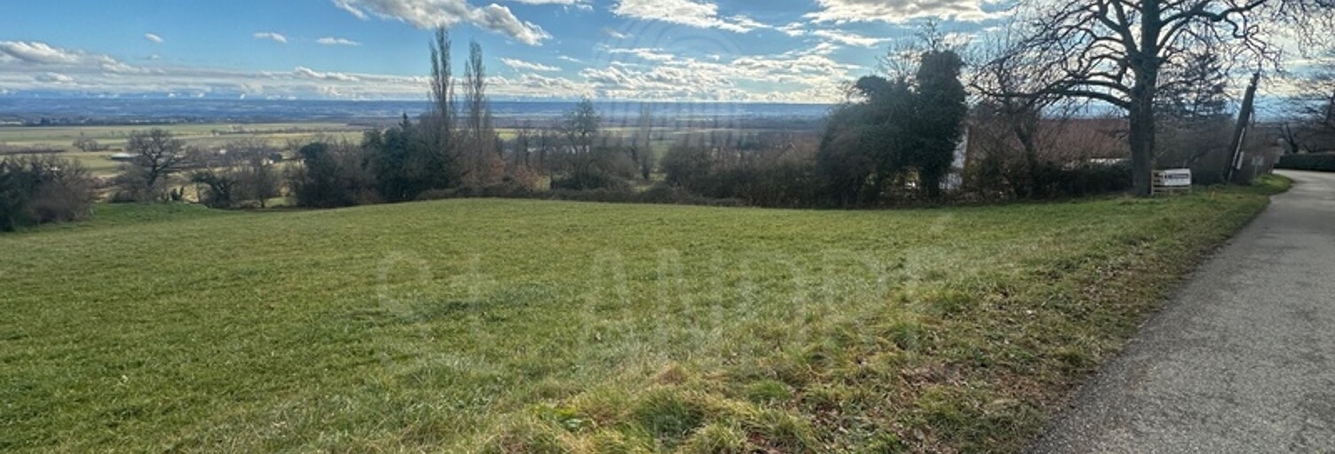 Terrain   m² à vendre à Pisieu (38270)