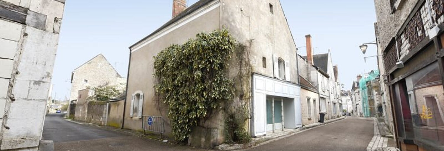 Maison 4 Pièces 169 m² à vendre à Pontlevoy (41400)