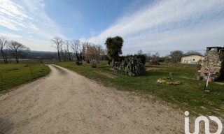 Photo N° 6