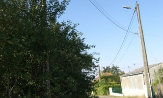 Photo N° 7