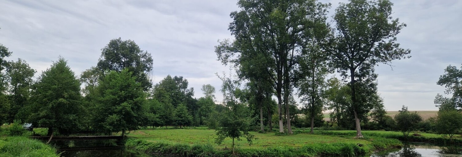 Terrain  21351 m² à vendre à Noyant-Villages (49490)