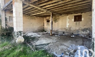 Photo N° 3