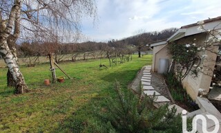 Photo N° 6