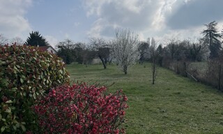 Photo N° 16