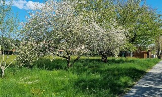 Photo N° 2