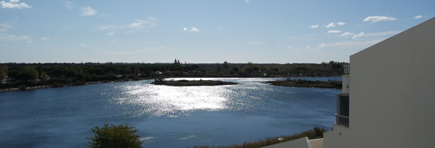 Appartement 2 Pièces 31 m² à vendre à Le Grau-du-Roi (30240)