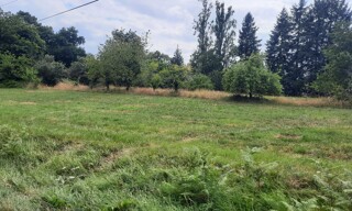 Terrain  1000 m² à vendre à La Force (24130)