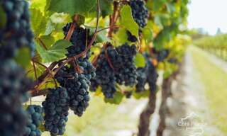 Maison 4 Pièces 460 m² à vendre à Beautiran (33640)