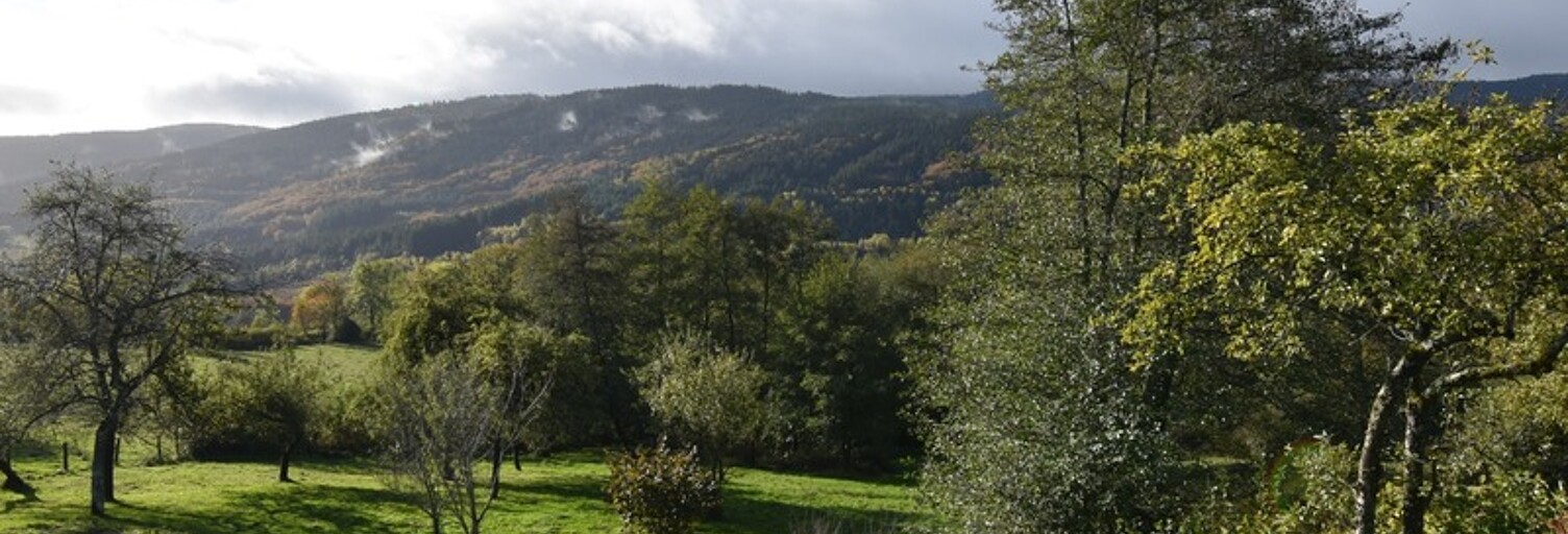 Maison 5 Pièces 110 m² à vendre à Laprugne (03250)