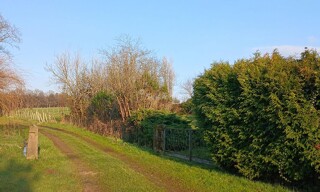 Photo N° 3