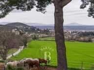 MANOSQUE- MAISON 308 M2- 7 CHAMBRES - PISCINE - JARDIN 4000M2 — photo 3