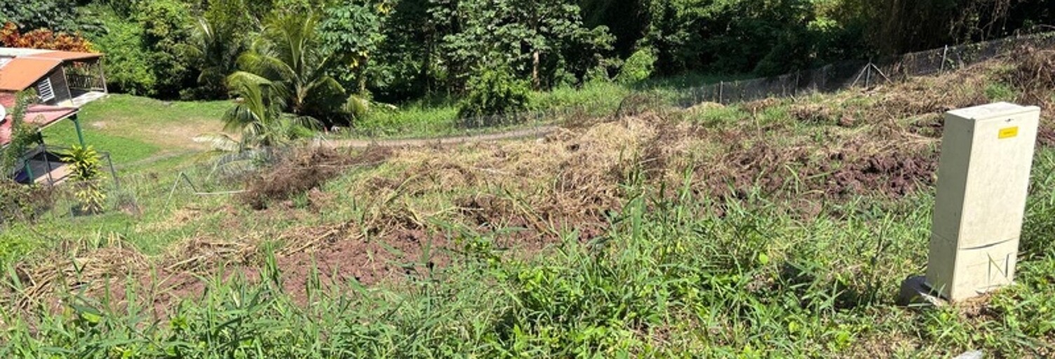 Terrain  669 m² à vendre à Le François (97240)