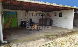 Photo N° 6