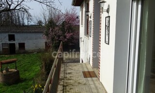 Photo N° 11
