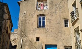 Photo N° 9