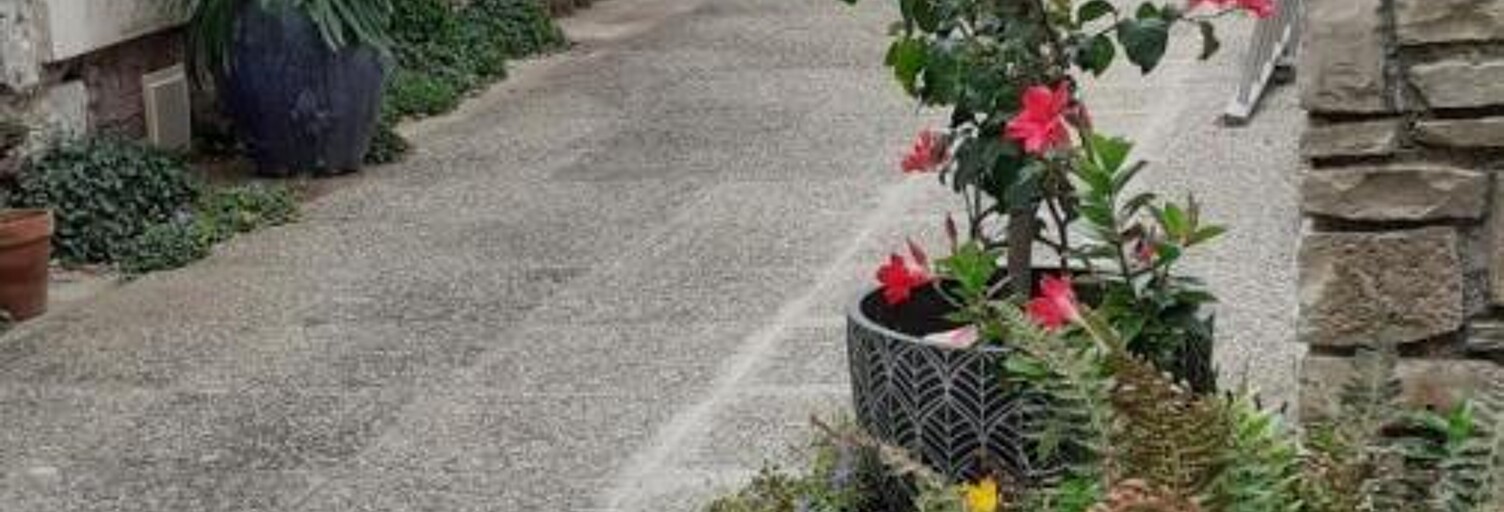 Appartement 1 Pièce 35 m² à louer à Chalonnes-sur-Loire (49290)