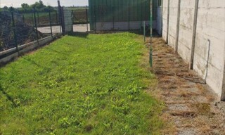 Maison 4 Pièces 78 m² à louer à Illies (59480)