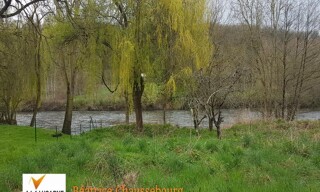 Photo N° 4