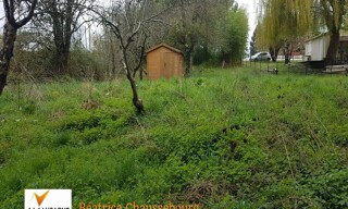 Photo N° 5
