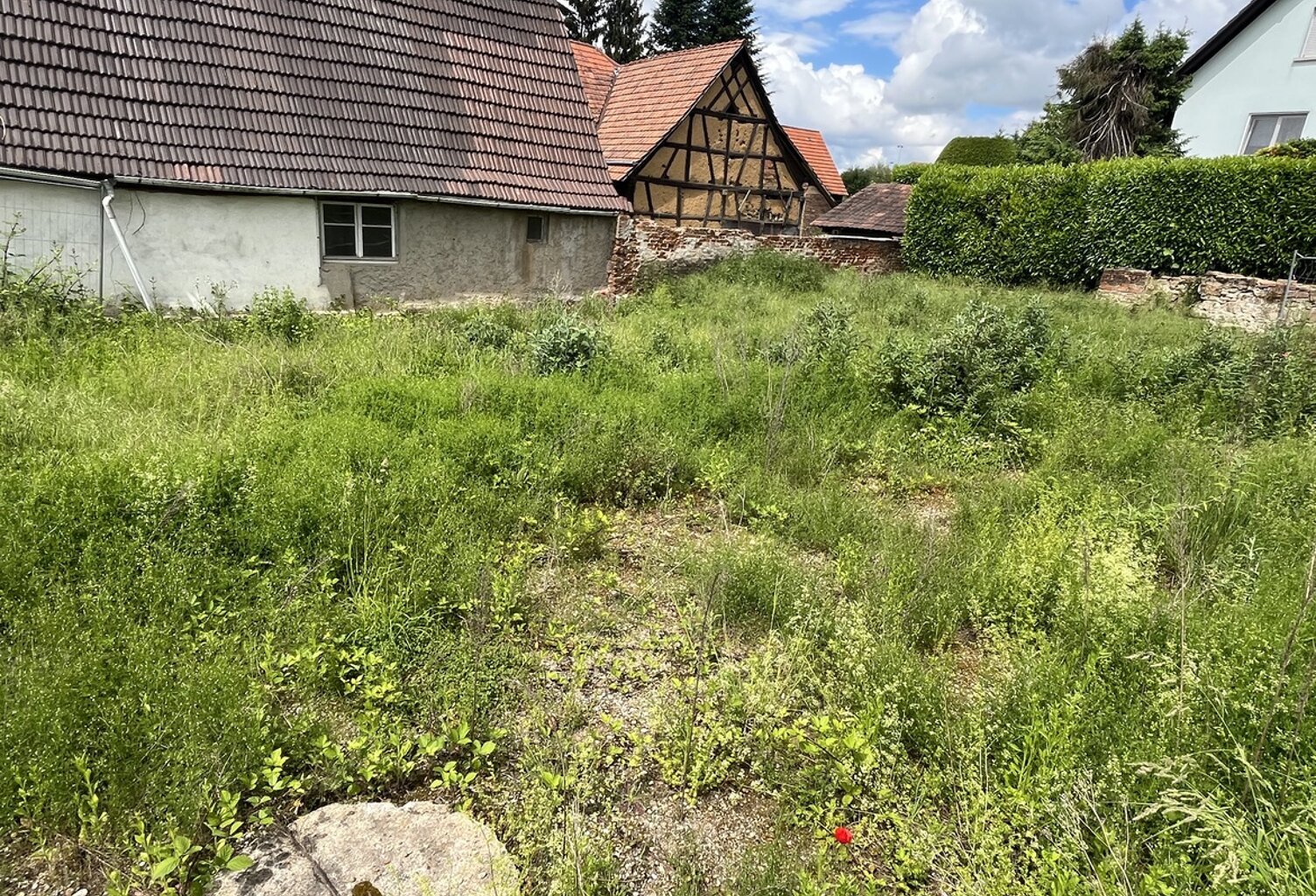 Terrain nu — photo 1