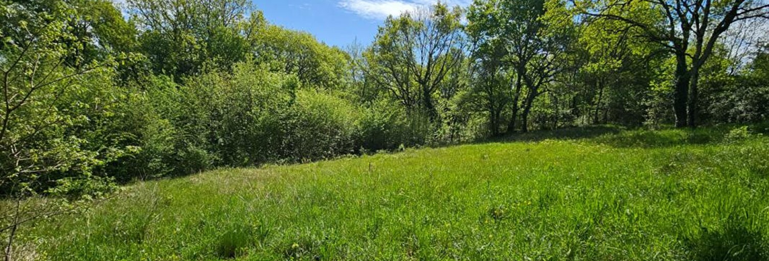Terrain  1980 m² à vendre à Brive-la-Gaillarde (19100)