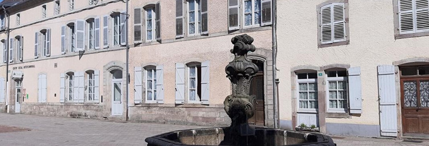 Maison 8 Pièces 232 m² à vendre à Faucogney-et-la-Mer (70310)