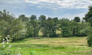 Terrain  2713 m² à vendre à Toulon-sur-Allier (03400)