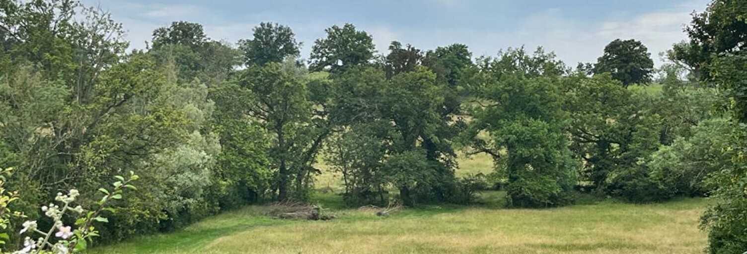 Terrain  2713 m² à vendre à Toulon-sur-Allier (03400)