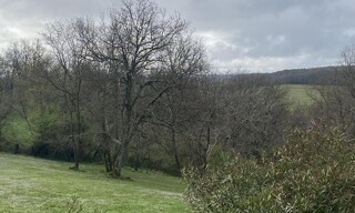 Photo N° 6
