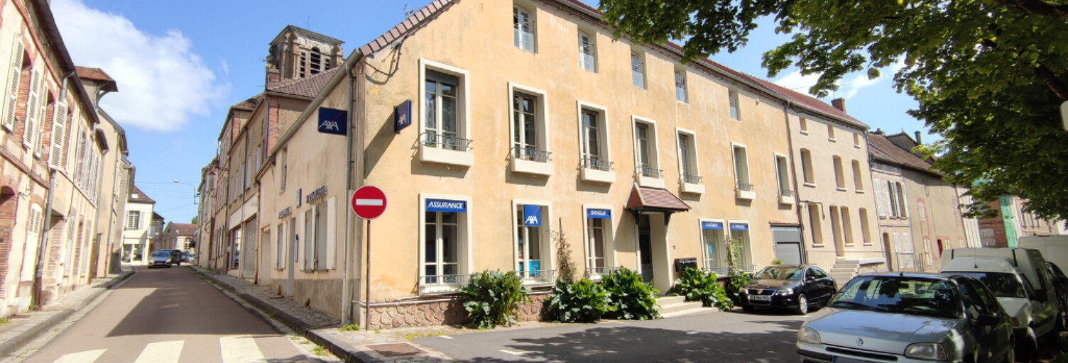 Maison 10 Pièces 360 m² à vendre à Sézanne (51120)